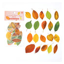 Poppy Crafts Leaves of Nature Sticker Pack - Acuminate Leaves