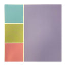 SEI Simple Set Single-Sided 12"x 12" Cardstock Sheet - Silly - Hoot-n-Holler