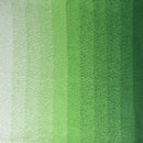 Scheepjes Cotton Whirl Yarn - Lettuce Party