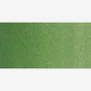 Schmincke Horadam Aquarell Watercolour Paint 5ml - S2 - Chromium Oxide Green