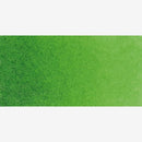 Schmincke Horadam Aquarell Watercolour Paint 5ml - S2 - Sap Green