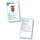 Search Press Mini Amigurumi Animals Card Deck Crochet Set