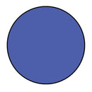 Solid blue circle on a white background