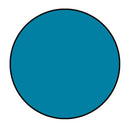 Solid blue circle on a white background