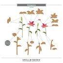 Spellbinders paper art die cut set labeled 'Stargazers' on a white background