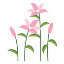 Illustration of pink flowers with green stems on a white background