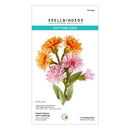 Spellbinders cutting dies packaging with floral design on a white background