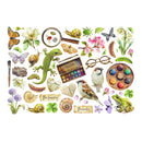 Collage of nature-themed illustrations including animals, plants, and objects on a white background.