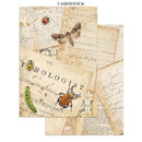 Cardstock with vintage insect design and text on a white background