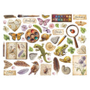 Collection of nature-themed items including butterflies, flowers, animals, and tools on a white background.