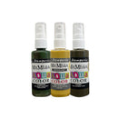 Stamperia Aquacolor Paint Set 3/Pkg - Whispering Woods