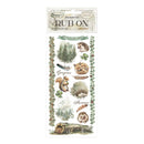 Stamperia Rub-On Transfer 4"x 8.5" - Herbarium Silvae Forest