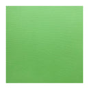 Solid green color swatch on a white background