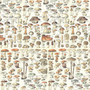 Tim Holtz - Advantus Idea-ology Double- Sided Cardstock 12"X12" 12/Pkg - Palette Collection: Orange
