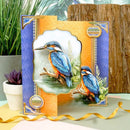 Hunkydory Beautiful Birds Deco-Large Set - Colourful Kingfisher