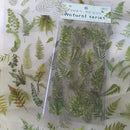 Poppy Crafts Natural Sticker Pack - Ferns
