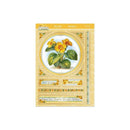 Hunkydory In Full Bloom - Floral Delights Deco-Large Set - Perfect Primrose*
