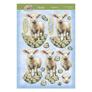 Hunkydory Spring is Here Deco-Large Set - A Baa-rilliant Birthday