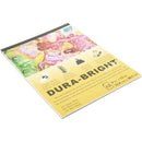 Grafix Dura-Bright Opaque White Pad .010 inch thick x 9inch x12inch, 12 Sheets