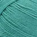 Lion Brand Pound Of Love Yarn - Waterfall 454g