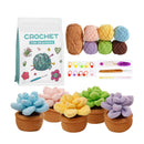 Crochet kit with yarn balls, a book, and crocheted succulent plants on a white background