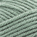 Premier Yarns Basix Chunky Yarn - Sage 100g