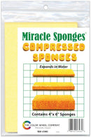 Compressed Sponges 3/Pkg - 4"X6"*