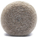 Caron Colorama Halo Yarn - Nutmeg Frost