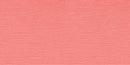 Bazzill Fourz Cardstock 12in x 12in - Arroyo/Grasscloth*