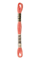 DMC Stranded Cotton 8m - 3341*