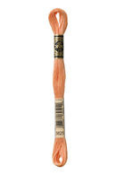 DMC Stranded Cotton 8m - 3825*