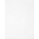 Cousin Perforated Plastic Canvas 14 Count 8.5"X11" 2 pack - Clear