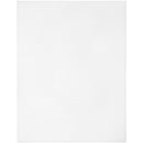 Cousin Plastic Canvas 10 Count 10.5"X13.5" - White