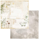 49 And Market Nature Study Double-Sided Cardstock 12"X12" - Fusion