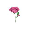 Sizzix Thinlits Dies by Alexis Trimble 7/Pkg - Lisianthus*