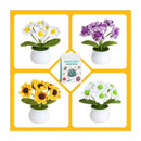 Four small potted plants with different flower types on a white background.