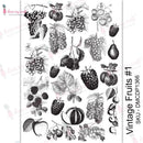Dress My Craft Transfer Me Sheet A4 - Vintage Fruits