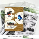 Picket Fence Studios Dies - Songbirds*