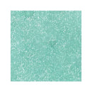 Cosmic Shimmer Airless Mister 50ml - Pine Green*