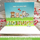 Lawn Cuts Custom Craft Die Pop-Up Big Hugs*