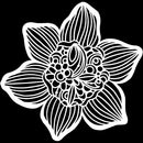 Crafter's Workshop Template 6"x6" - Cupped Daffodil*