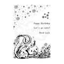 Creative Expressions Designer Boutique Collection - A6 Clear Stamp Set - Sammy Squirrel*