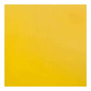 Bazzill Plastic Embossing Sheet 12 Inch X12 Inch - Buttercup