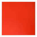 Bazzill Plastic Embossing Sheet 12 inch X12 inch Cherry Cordial