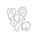 Hero Arts Frame Cut Dies - Sacred Florals*