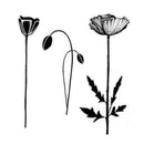 Lavinia Stamps - Group Poppies