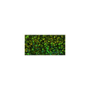 Nuvo Pure Sheen Glitter 1.2 oz Garden Grove