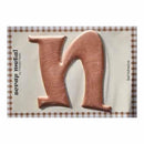 Pressed Petals - Letter N - Large - Copper