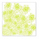 Sale Item - Hambly Screen Prints - Peacock Feathers Overlay - Lime Green - Sing