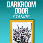 Darkroom Door Cling Stamps